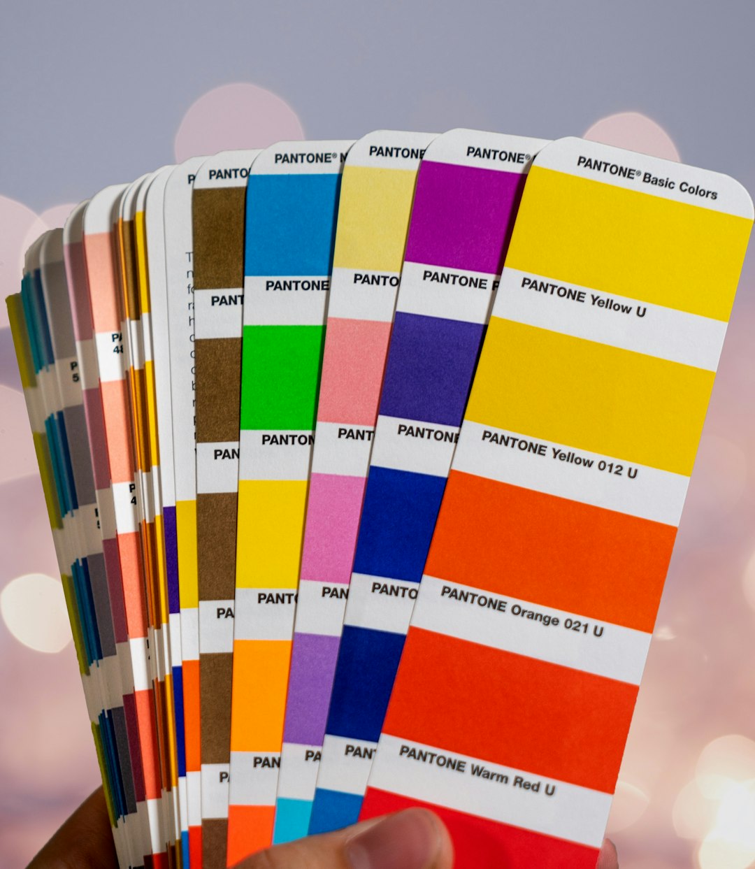 Full-Colour vs Single-Colour Printing: What's Right for Your Logo?