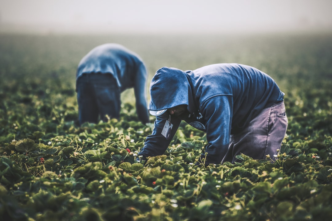 Hi-Vis Clothing for Agriculture: Staying Safe on the Farm