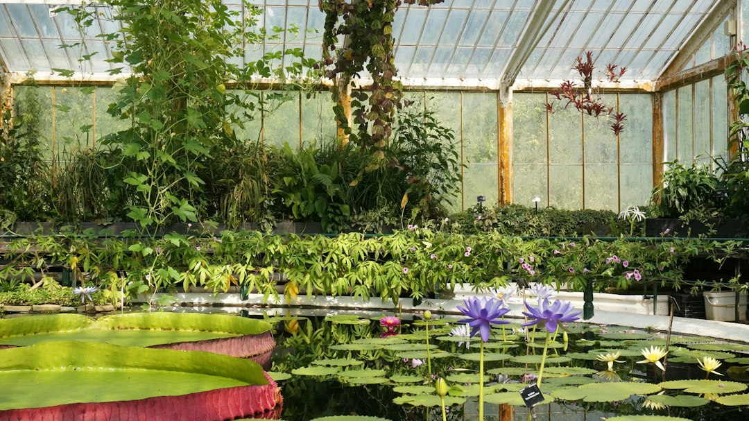 Uniforms for Garden Centres and Horticultural Businesses