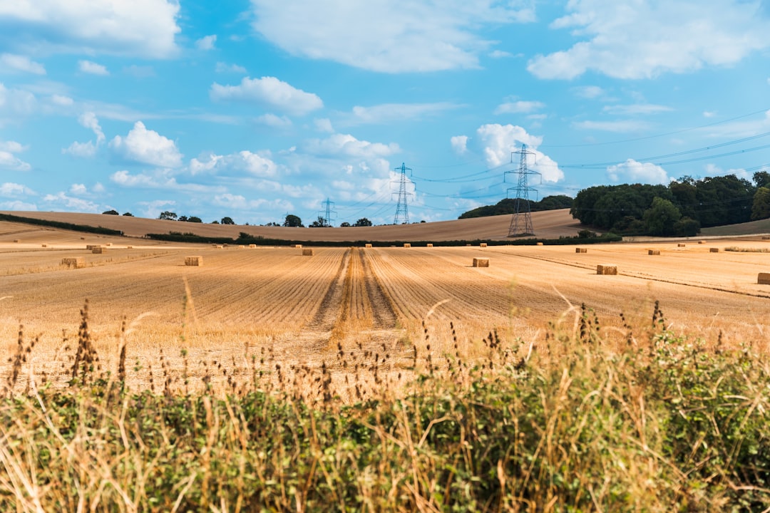 Best Workwear for Agricultural Workers in the UK