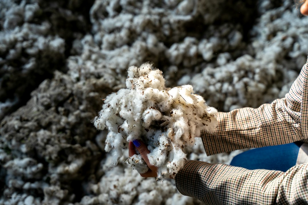 When to Choose Organic Cotton for Promotional T-Shirts