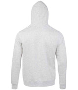02991 Ash Back