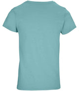 03581 Pool Blue Back