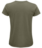 03582 Khaki Back