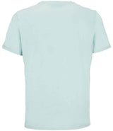 03981 Arctic Blue Back