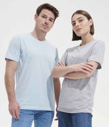 04203 Light Grey Marl Model