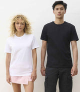 04461 Black Model