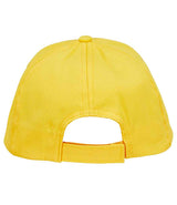 04745 Gold Back