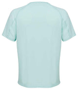 04787 Arctic Blue Back