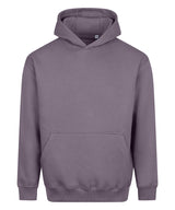 Vision heavyweight hoodie