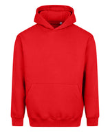 Vision heavyweight hoodie