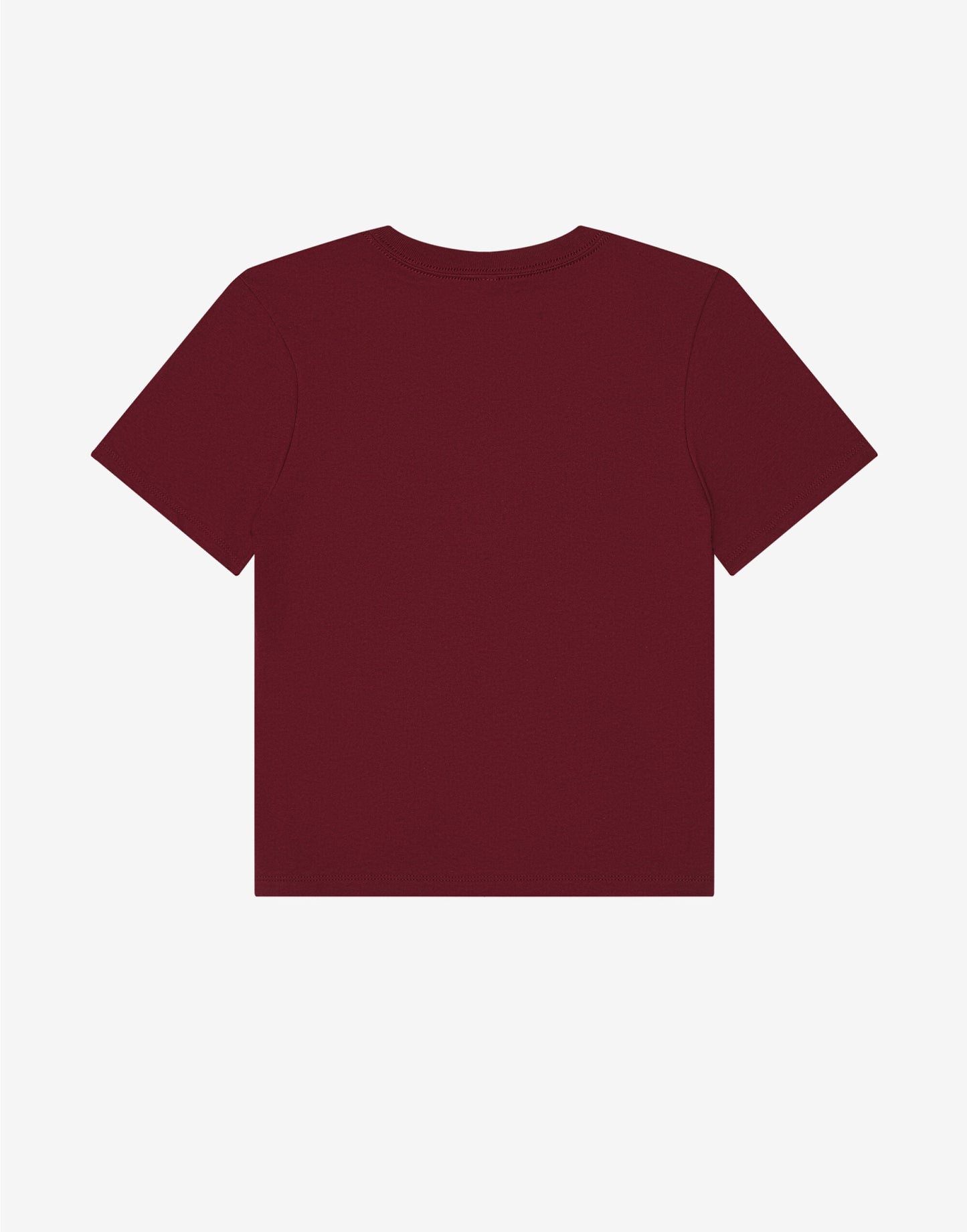 Women's Heavy Boxy Tee
