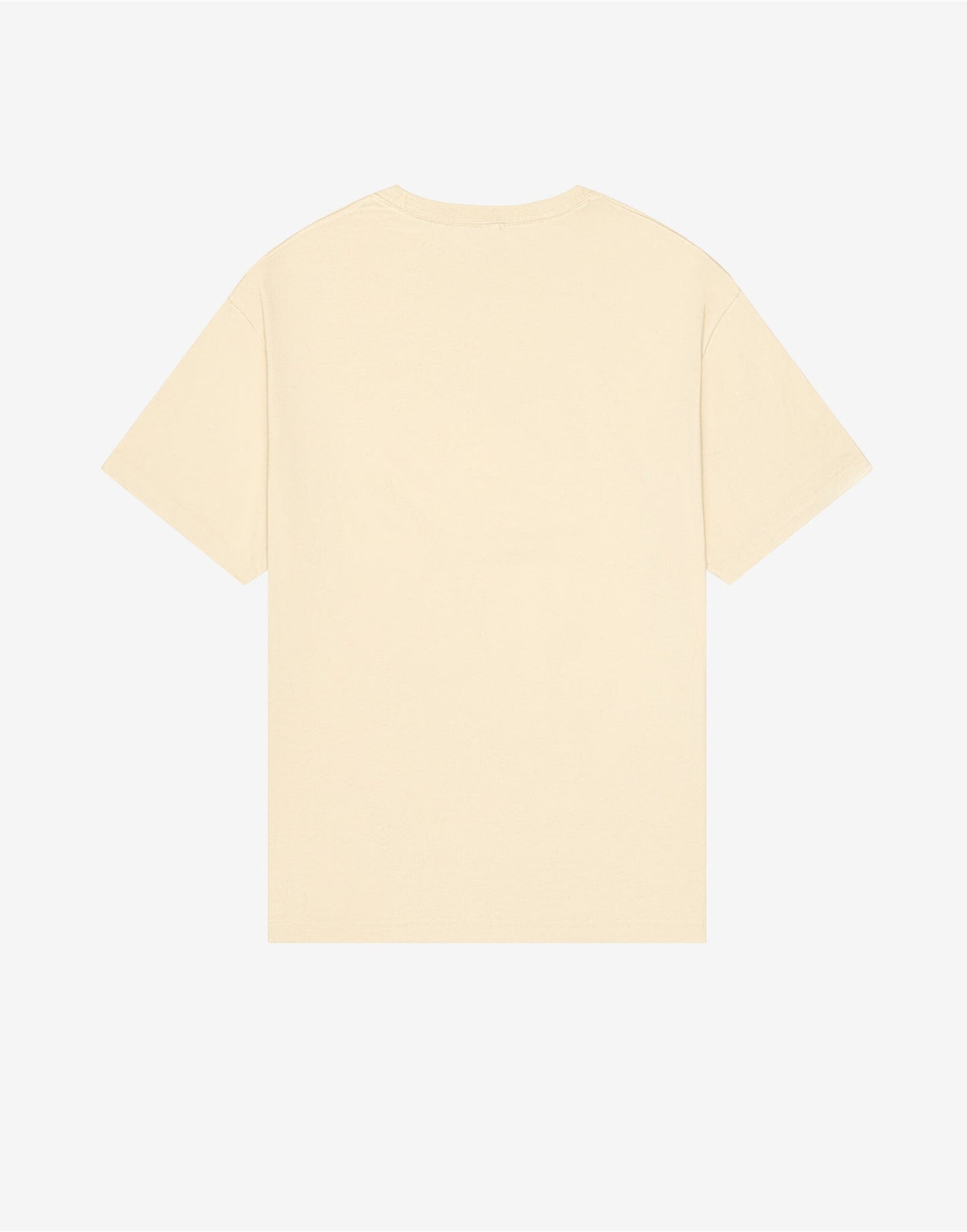 Unisex Heavy Boxy Tee