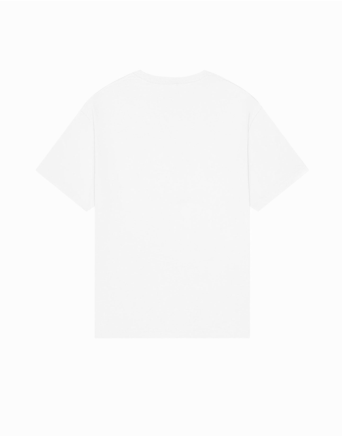 Unisex Heavy Boxy Tee