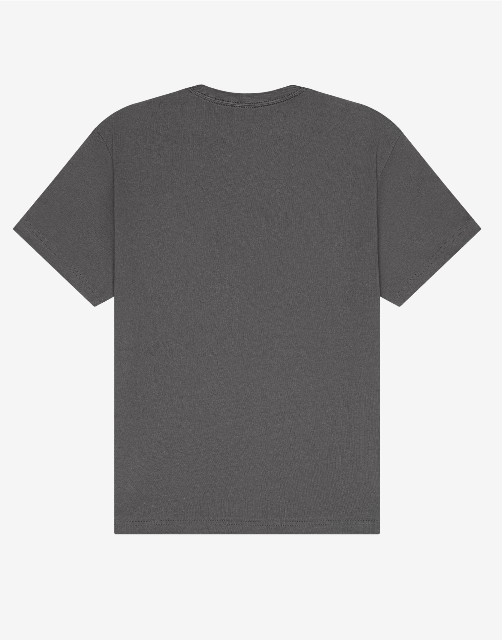 Unisex Short Sleeve Heavy Tee