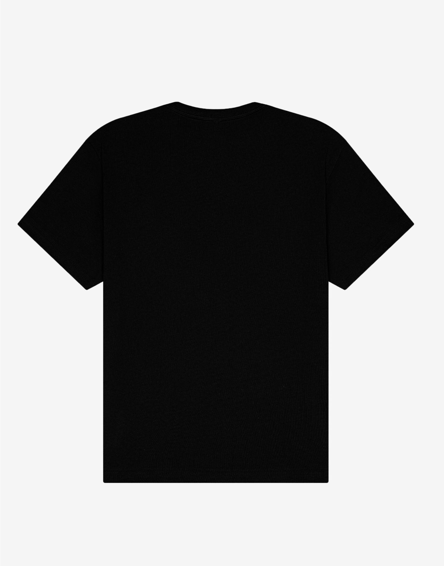 Unisex Short Sleeve Heavy Tee