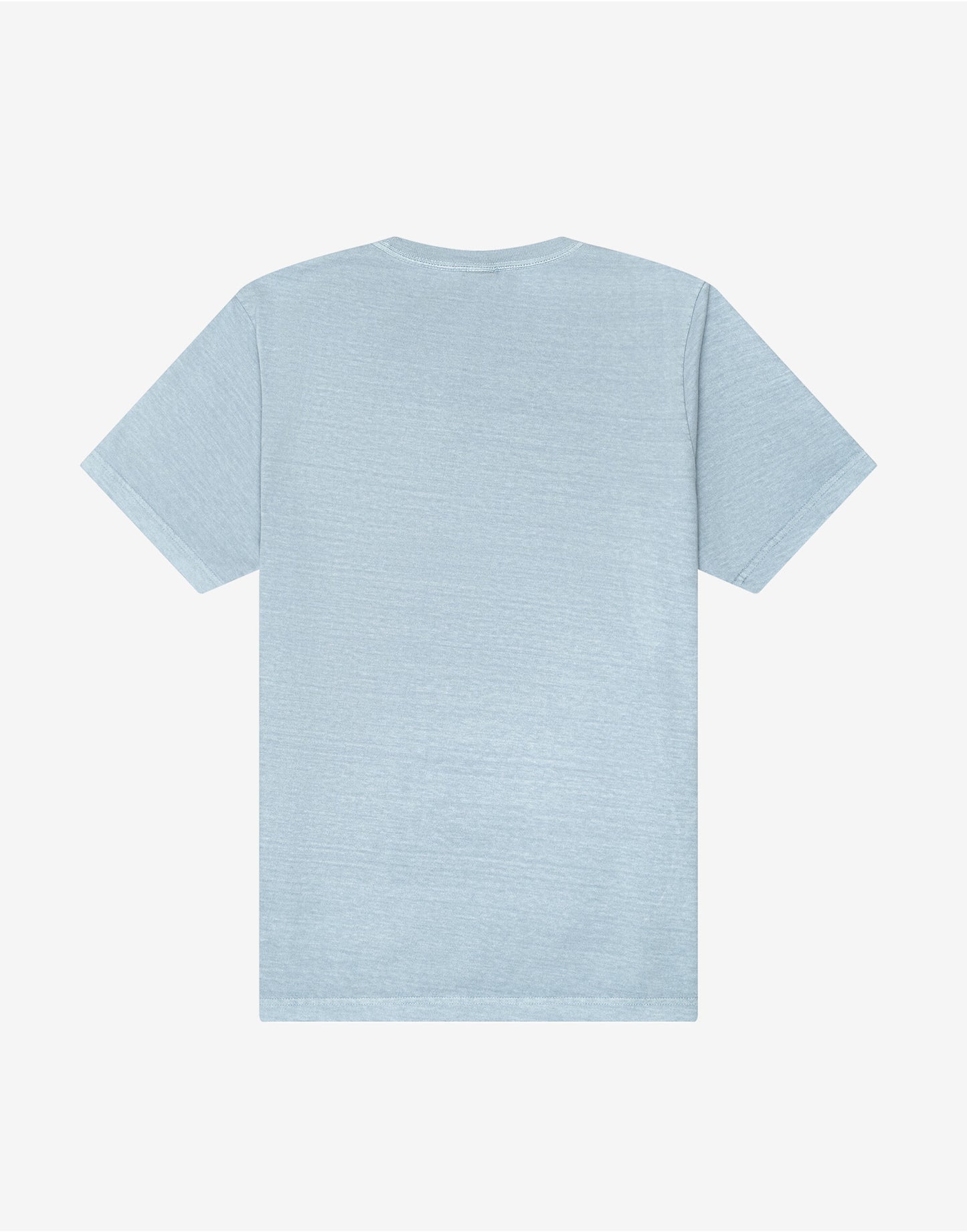 Unisex Heavyweight Washed Tee