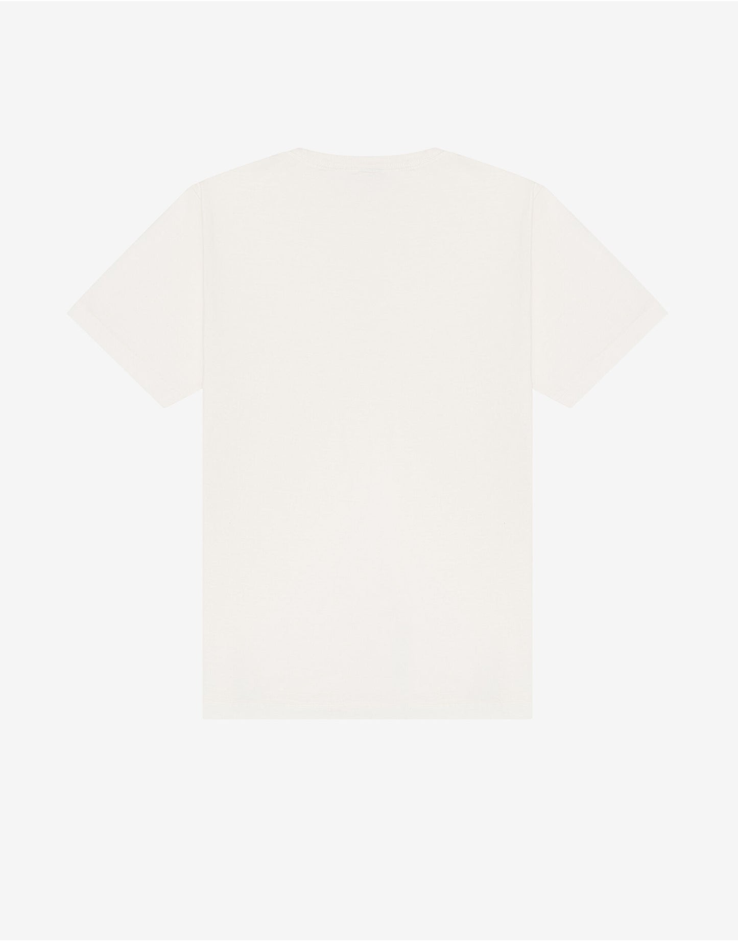 Unisex Heavyweight Washed Tee