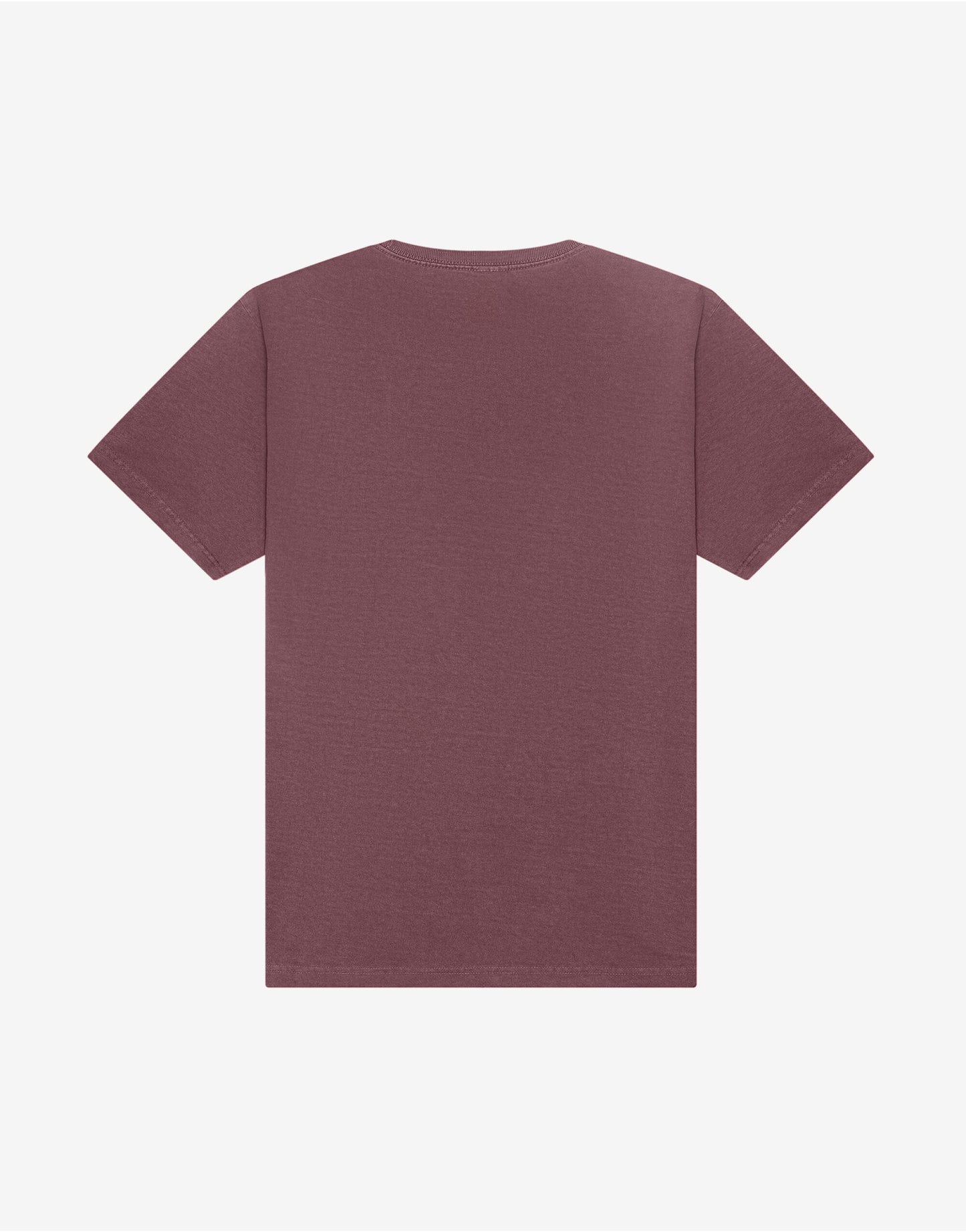 Unisex Heavyweight Washed Tee
