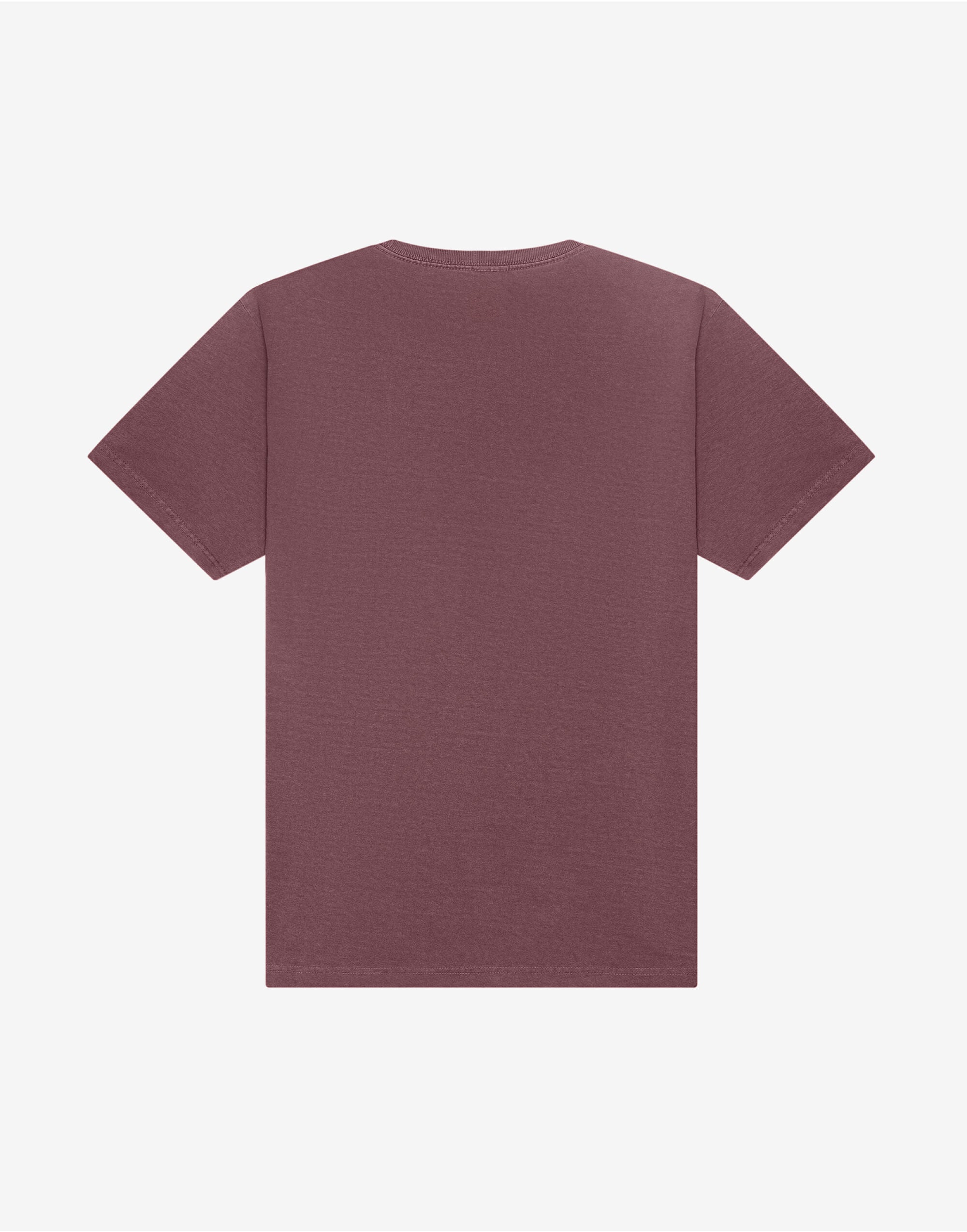 Unisex Heavyweight Washed Tee