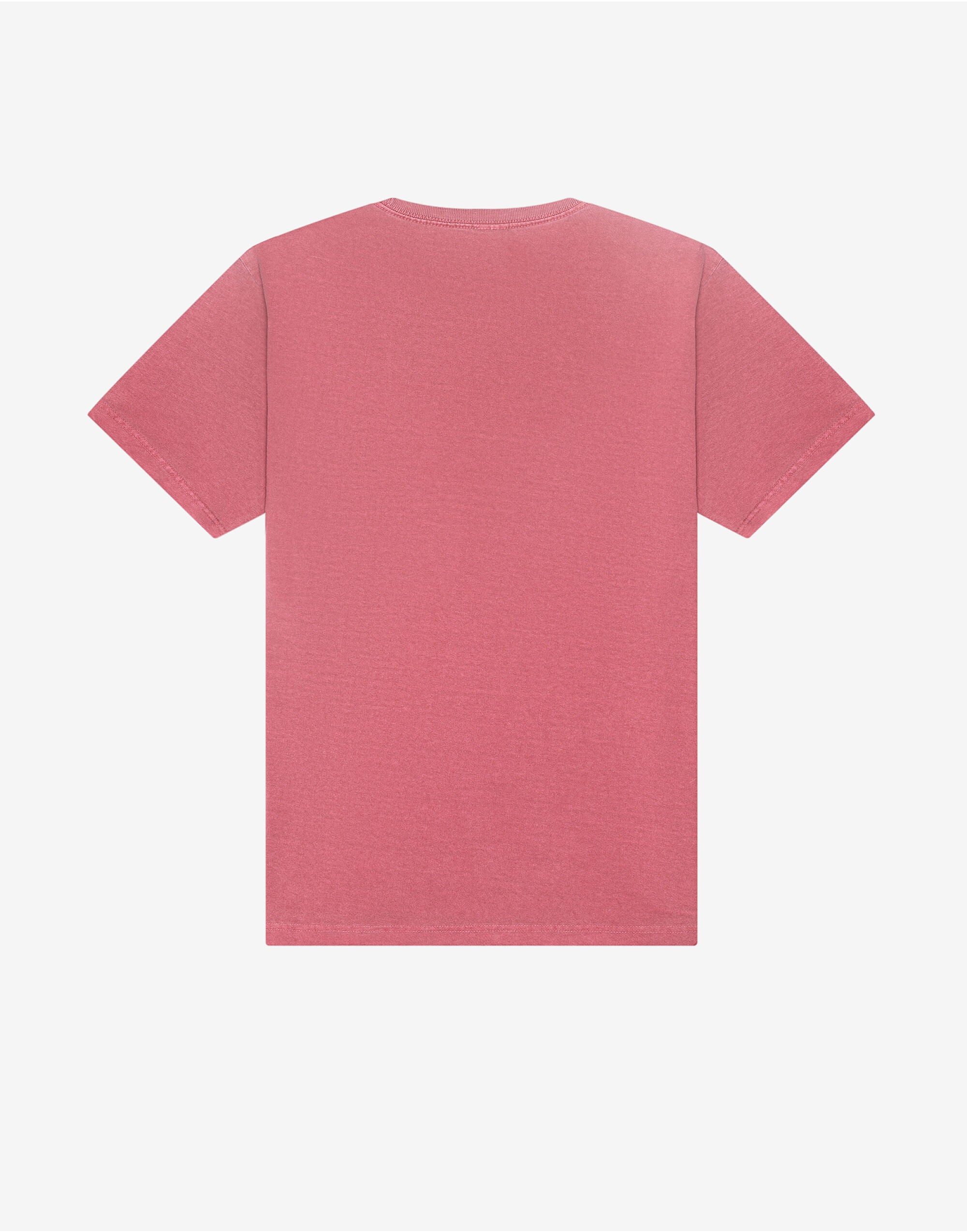 Unisex Heavyweight Washed Tee