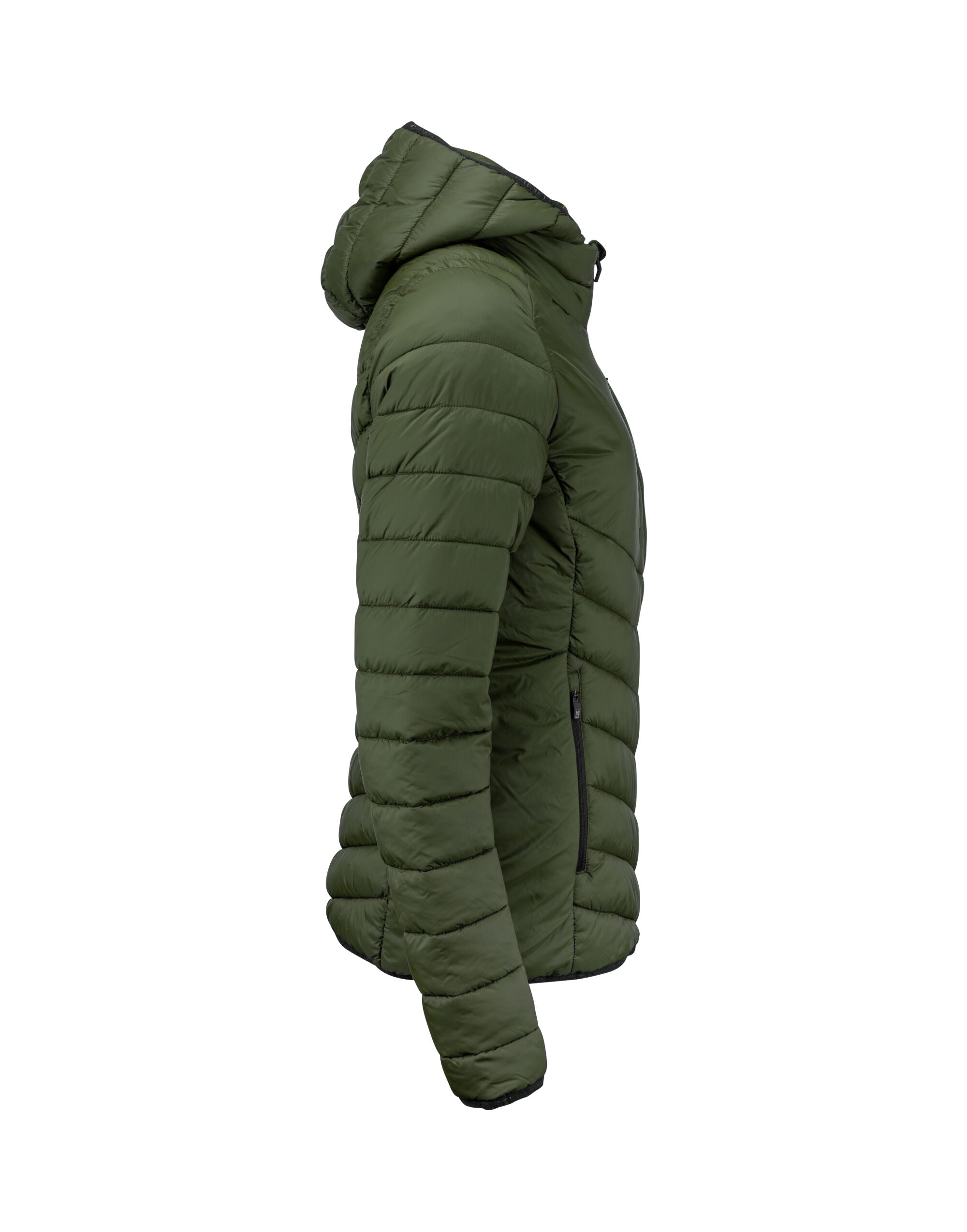 Mount Adams Jacket Women