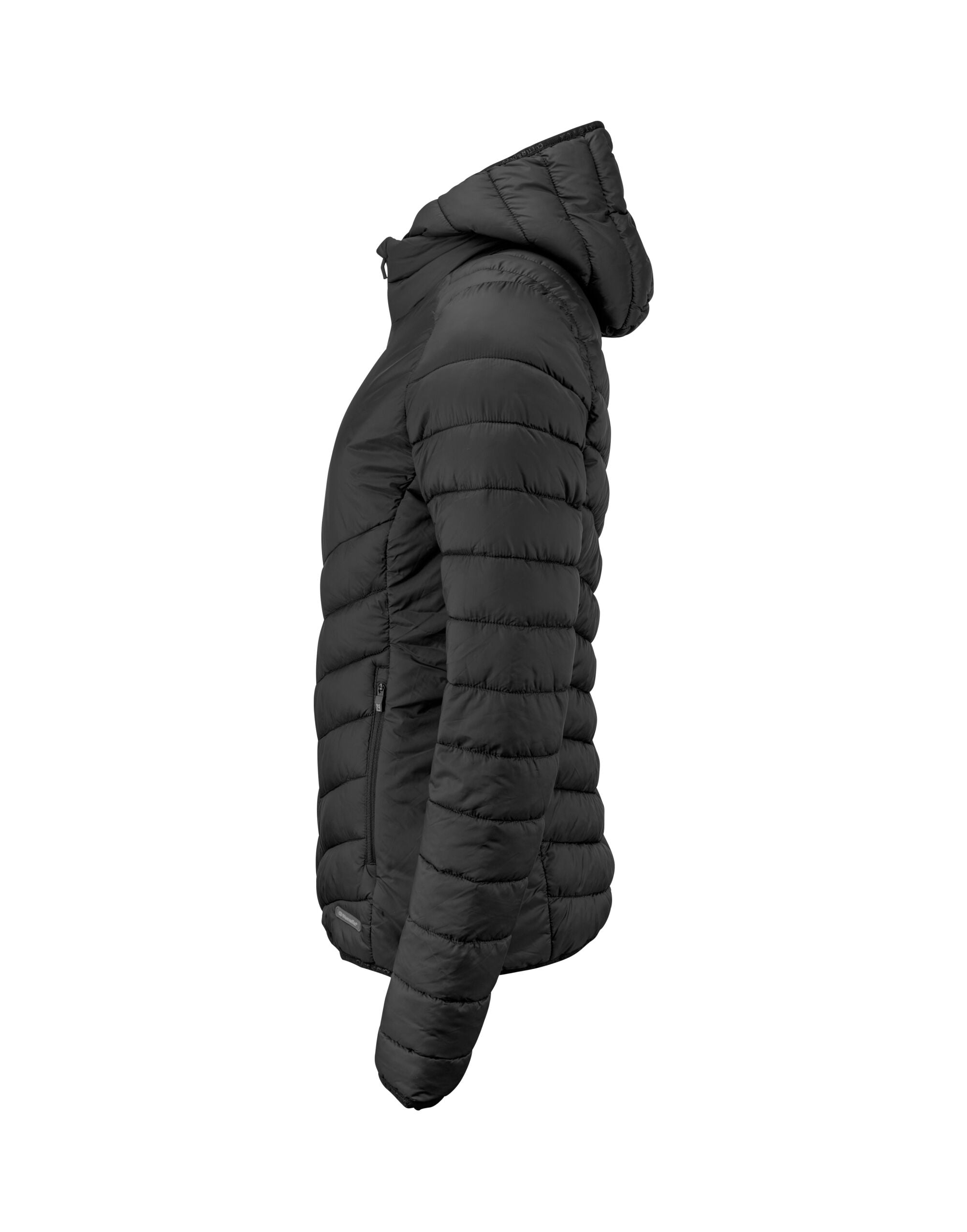 Mount Adams Jacket Women