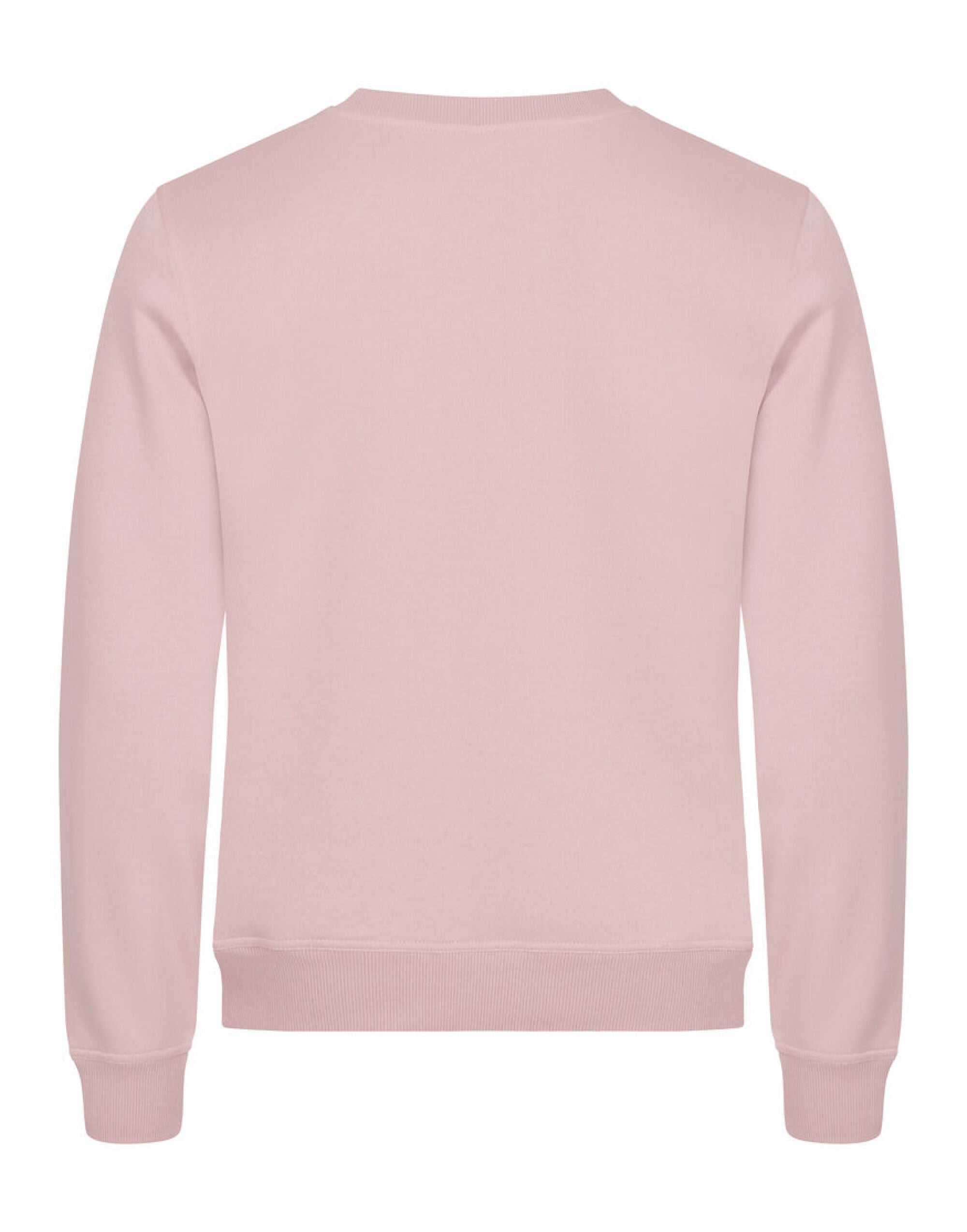 Miami Roundneck 		_x000D_
