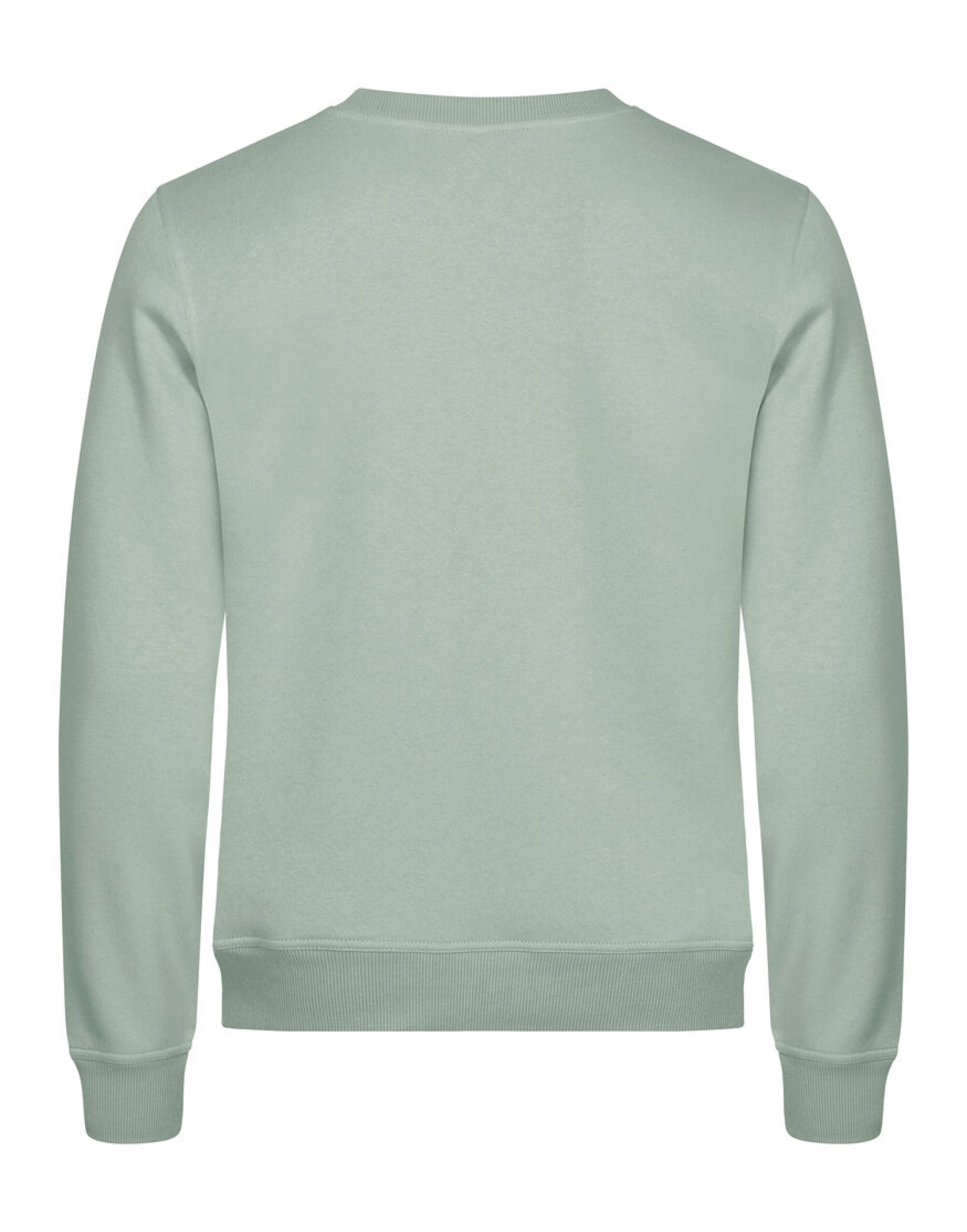 Miami Roundneck 		_x000D_
