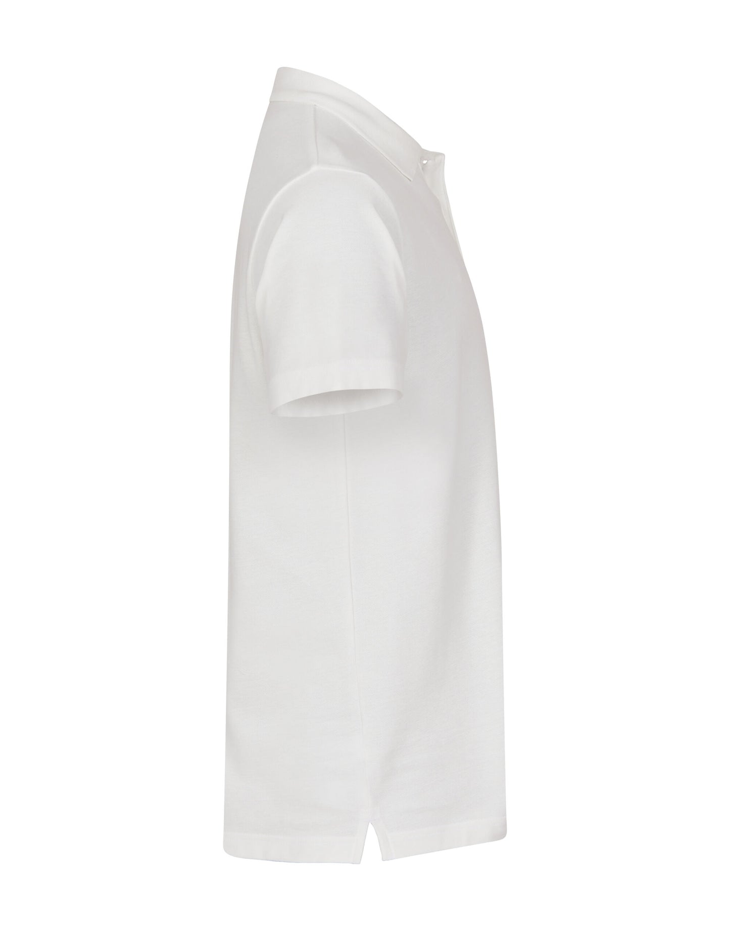 Basic Polo
