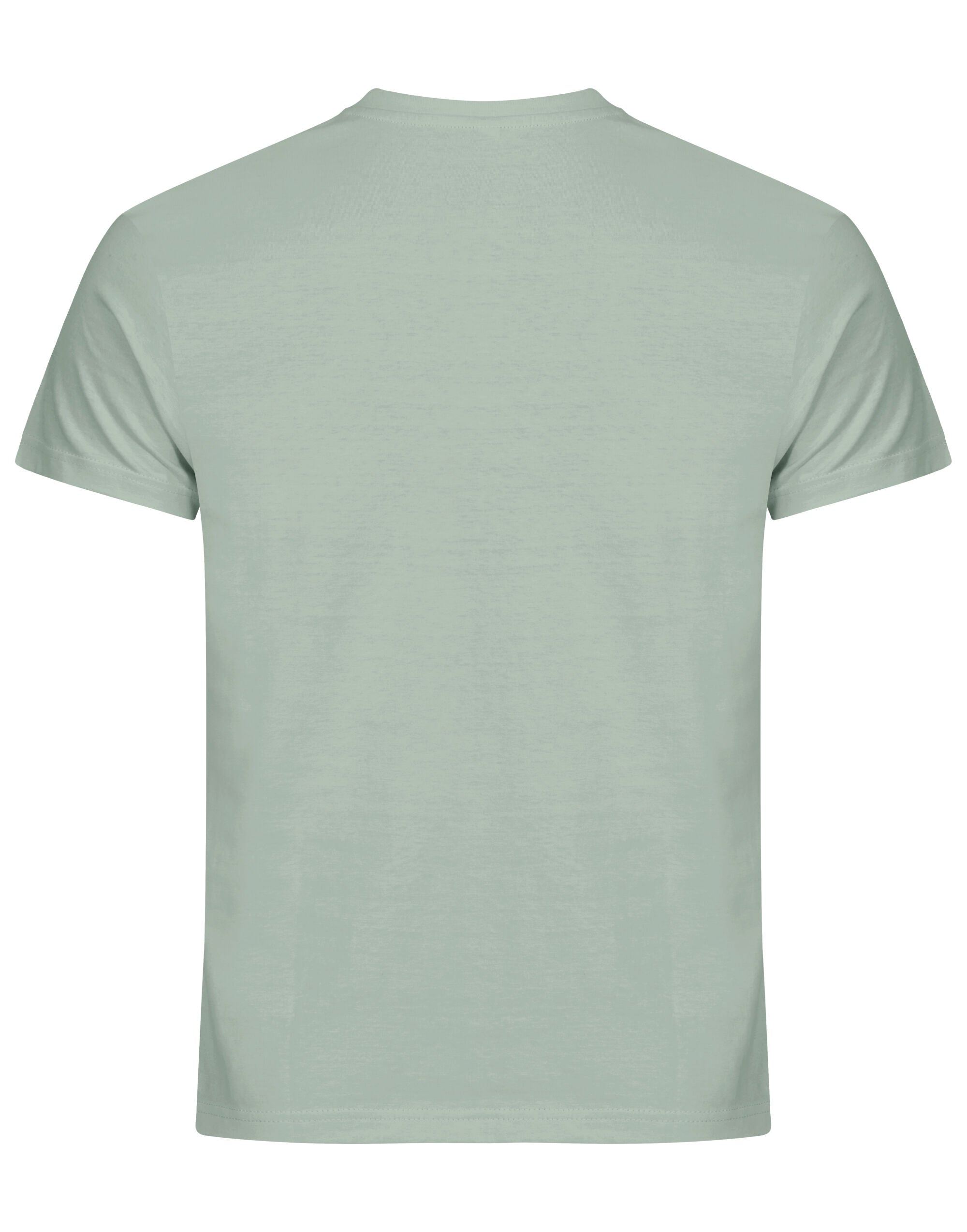 Basic T