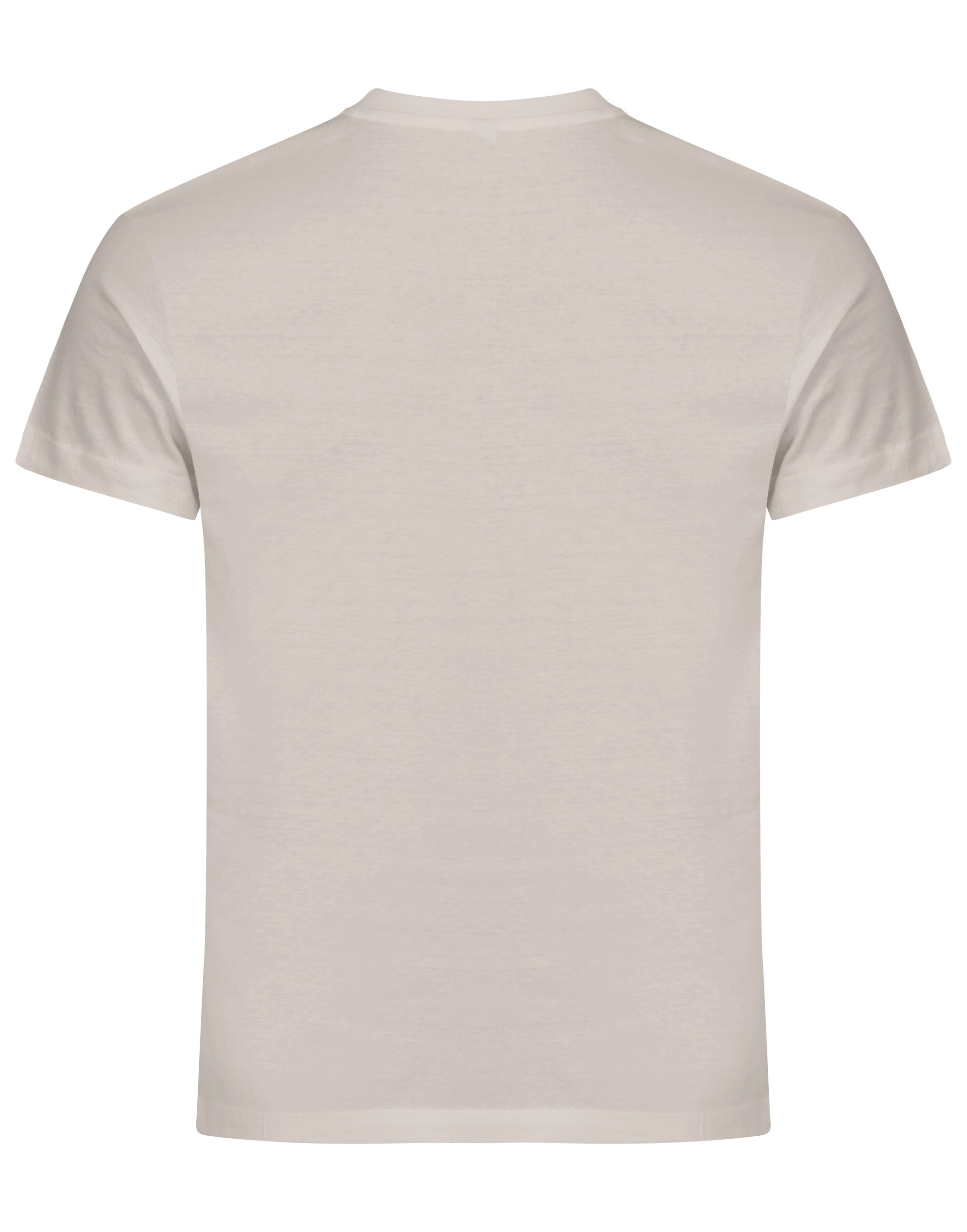 Basic T
