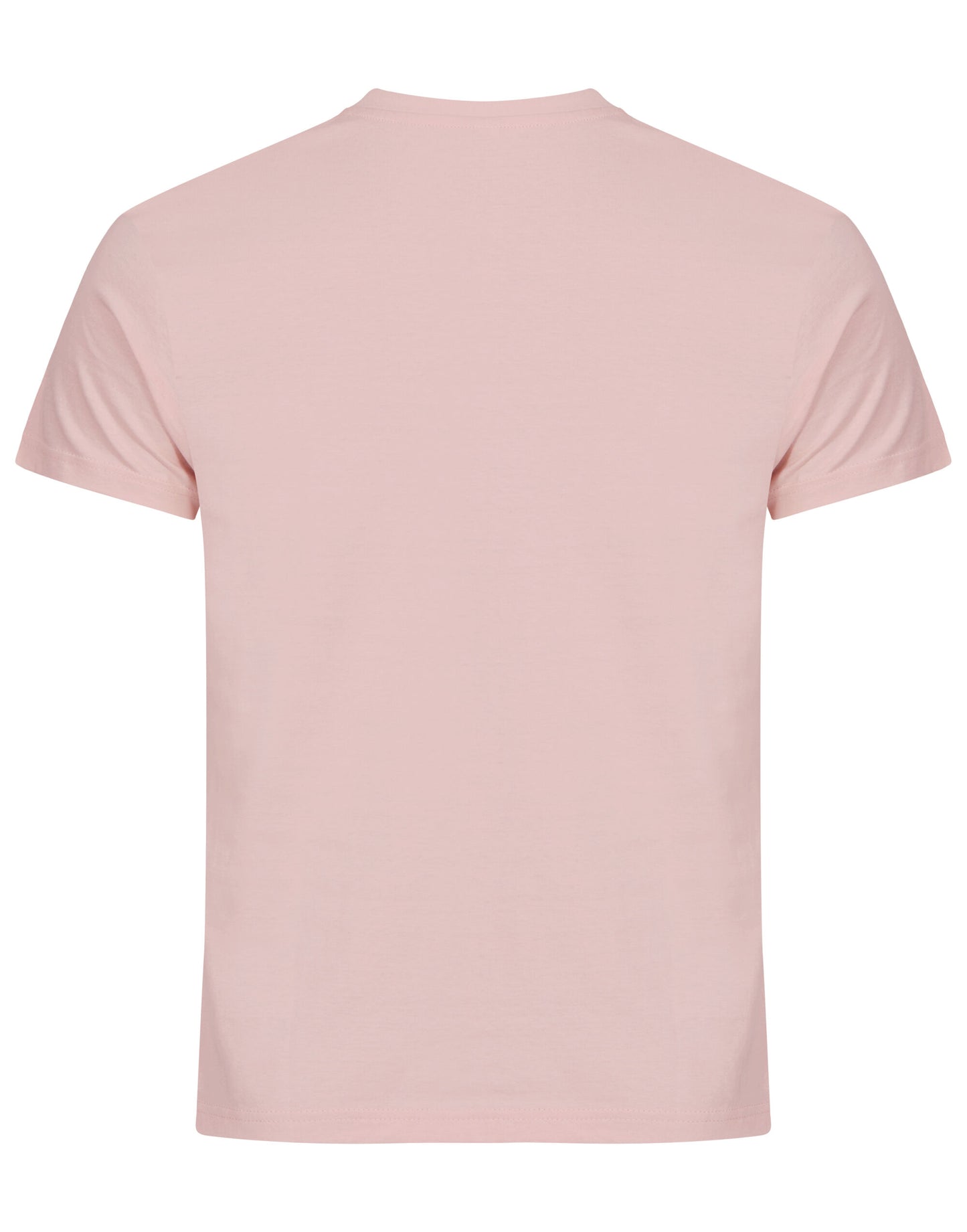 Basic T