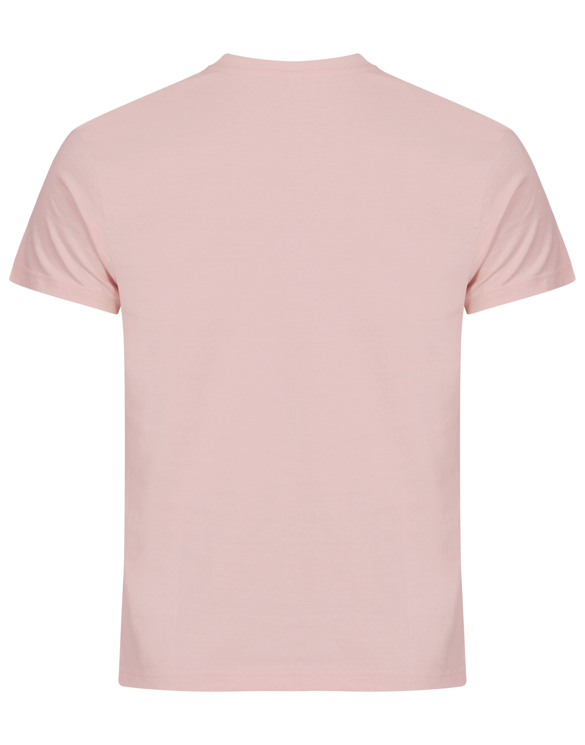Basic T