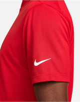 Dri-FIT Victory Solid Polo