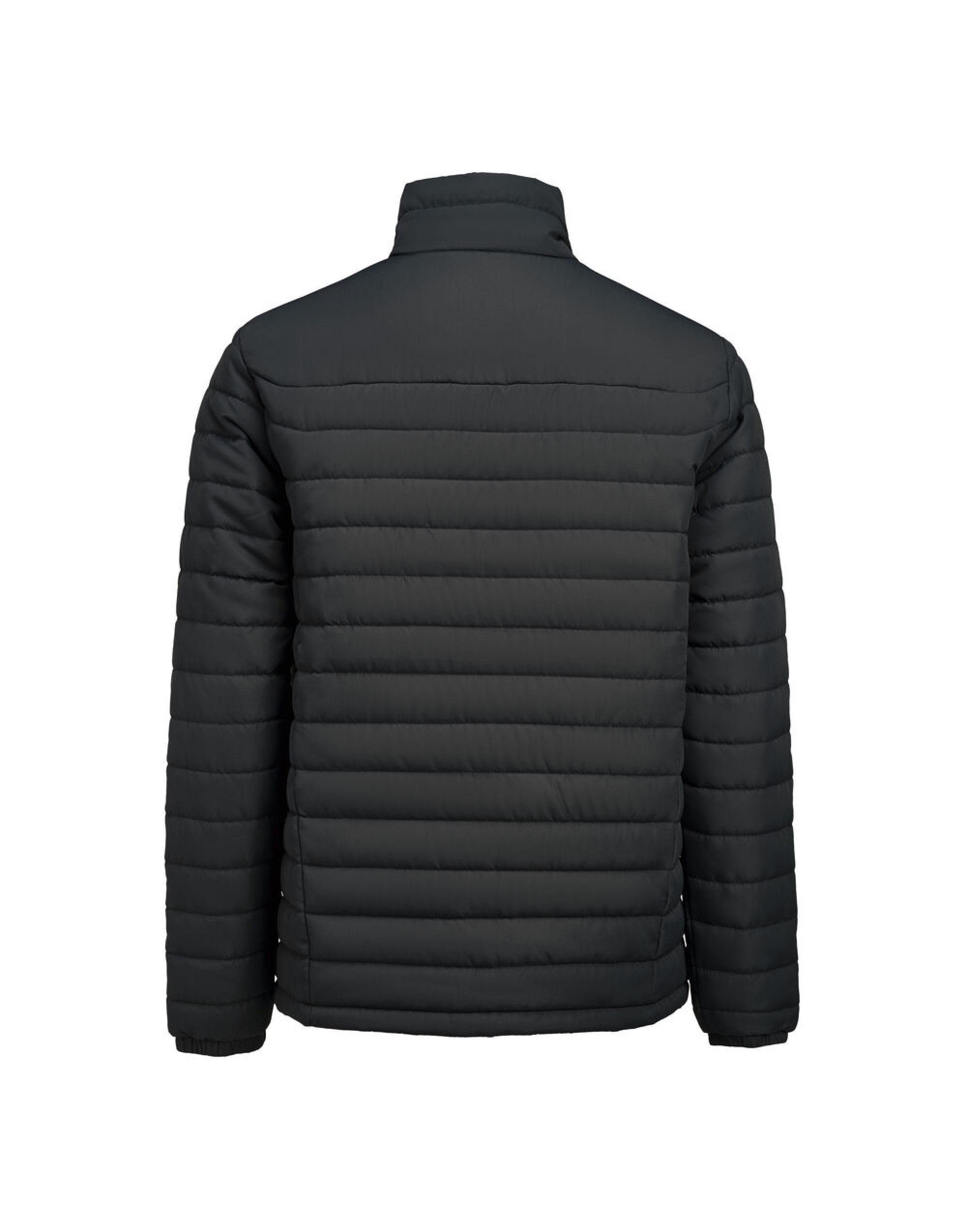 Arches Jacket
