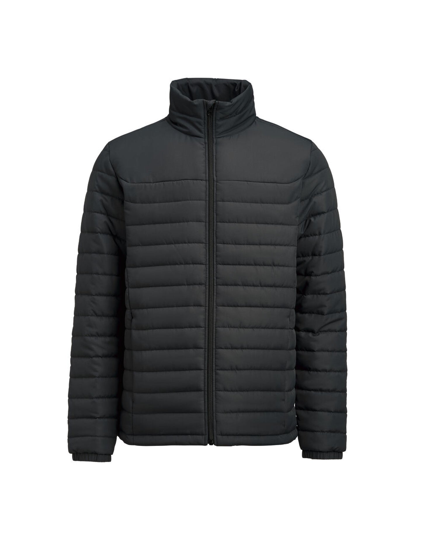 Arches Jacket