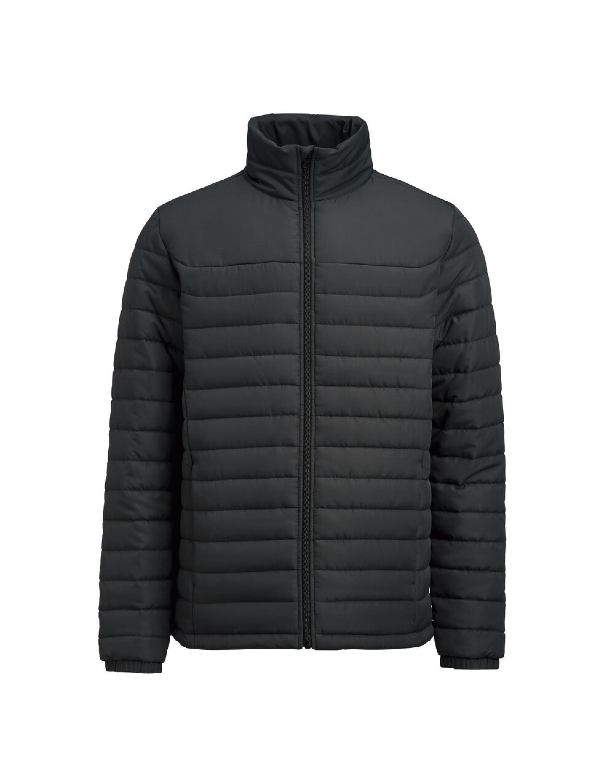 Arches Jacket