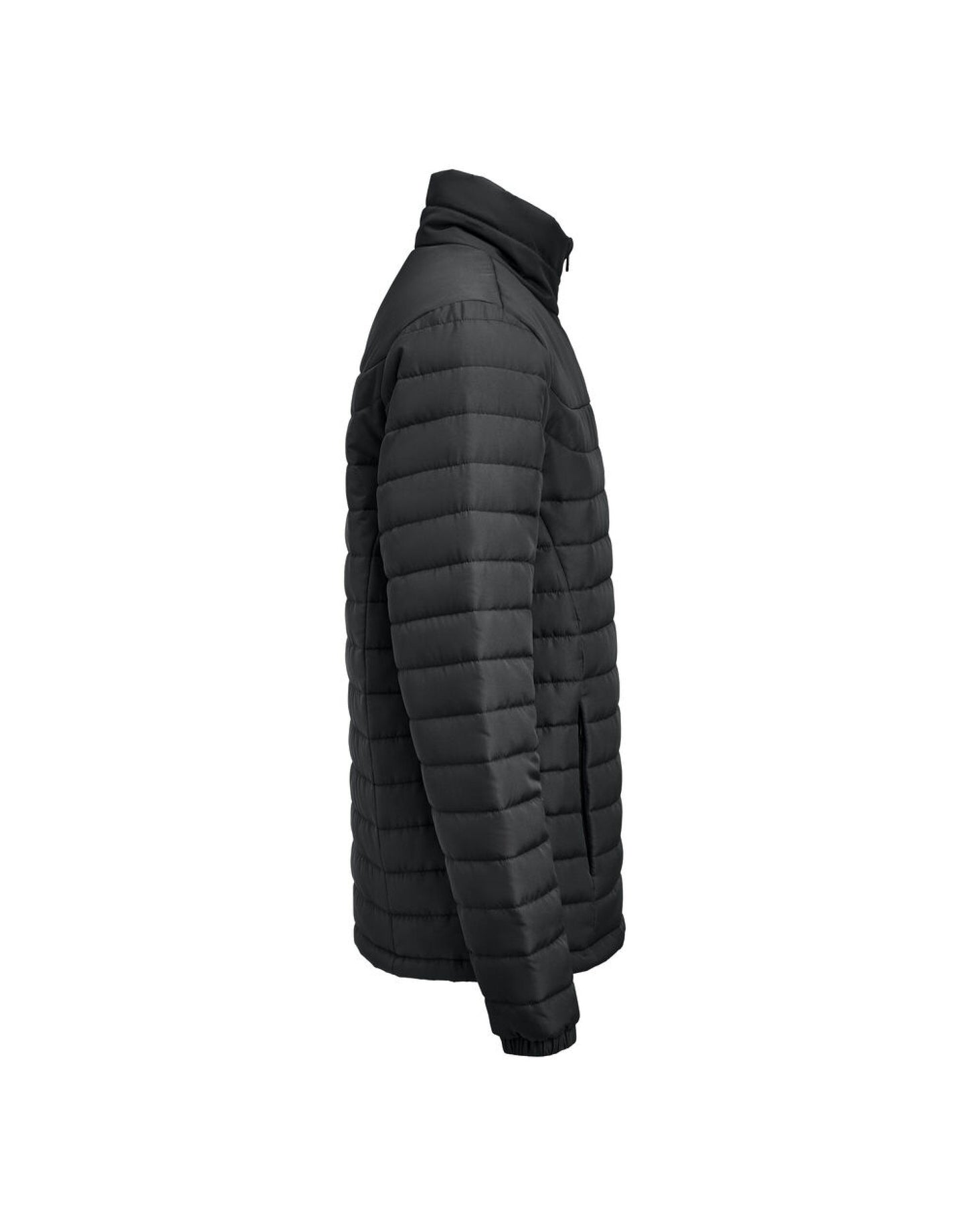 Arches Jacket