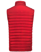 Arches Vest