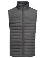 Arches Vest