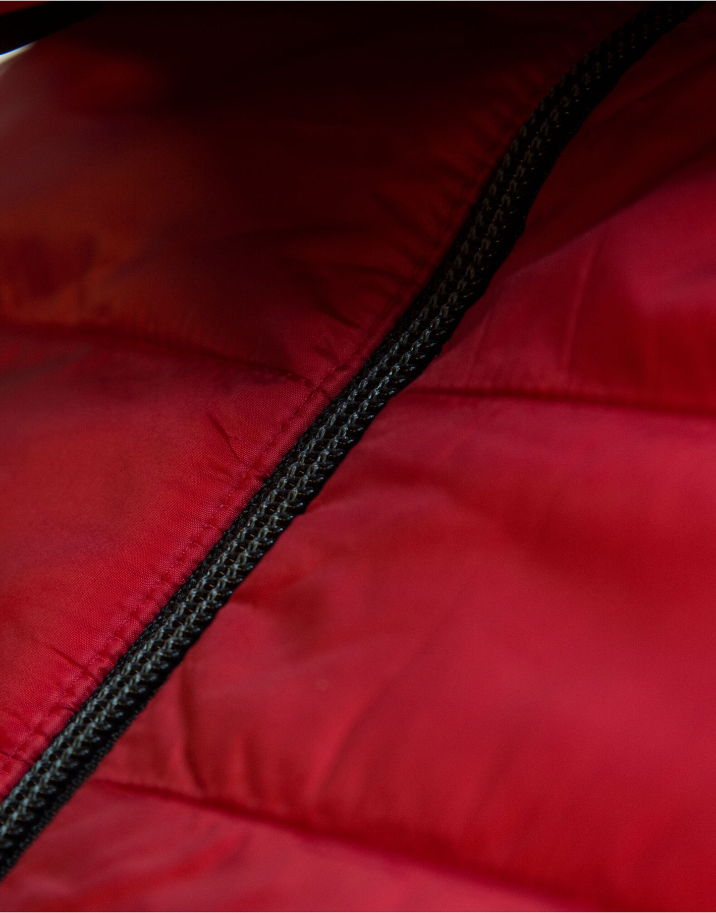 Expedition Vest