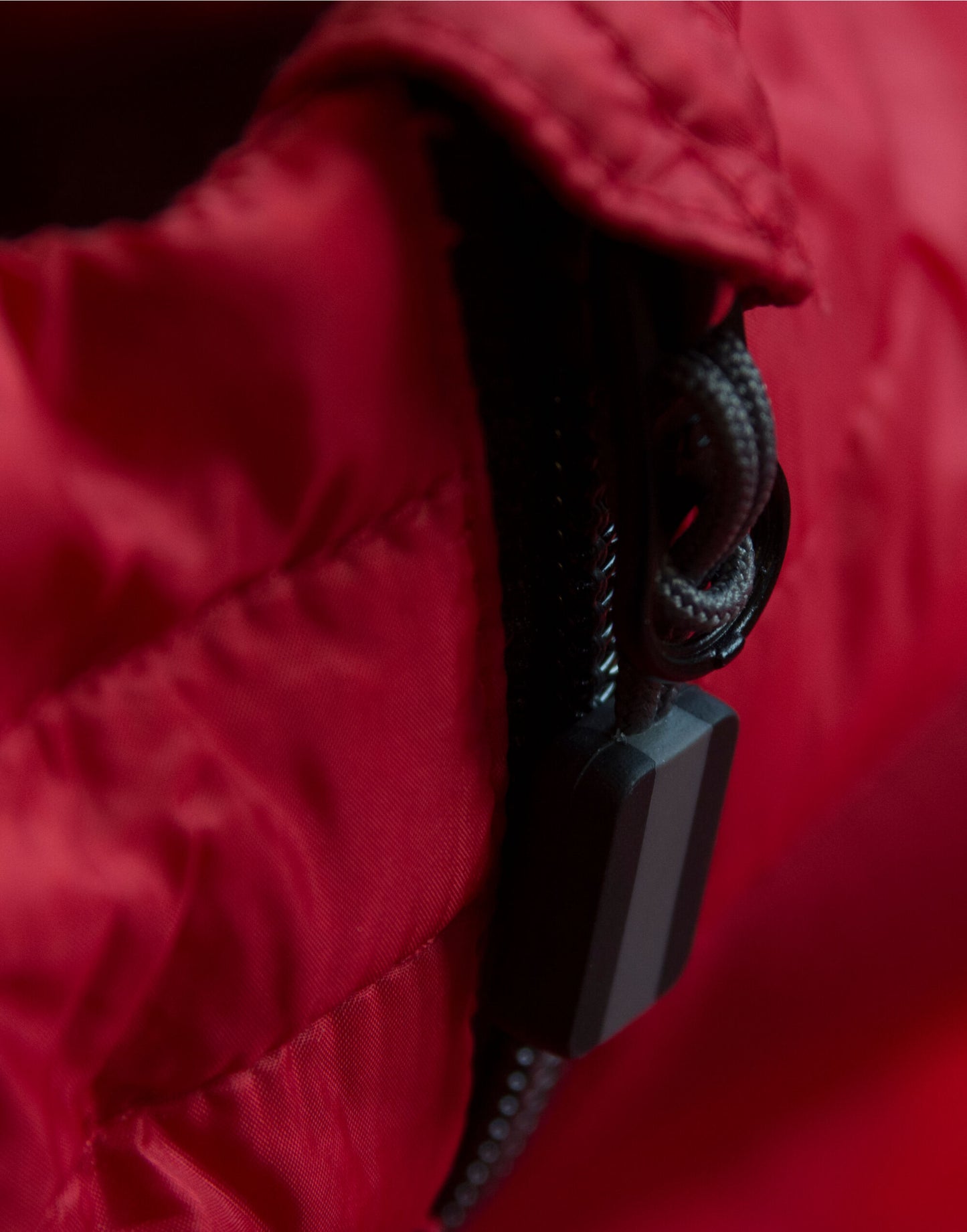 Expedition Vest