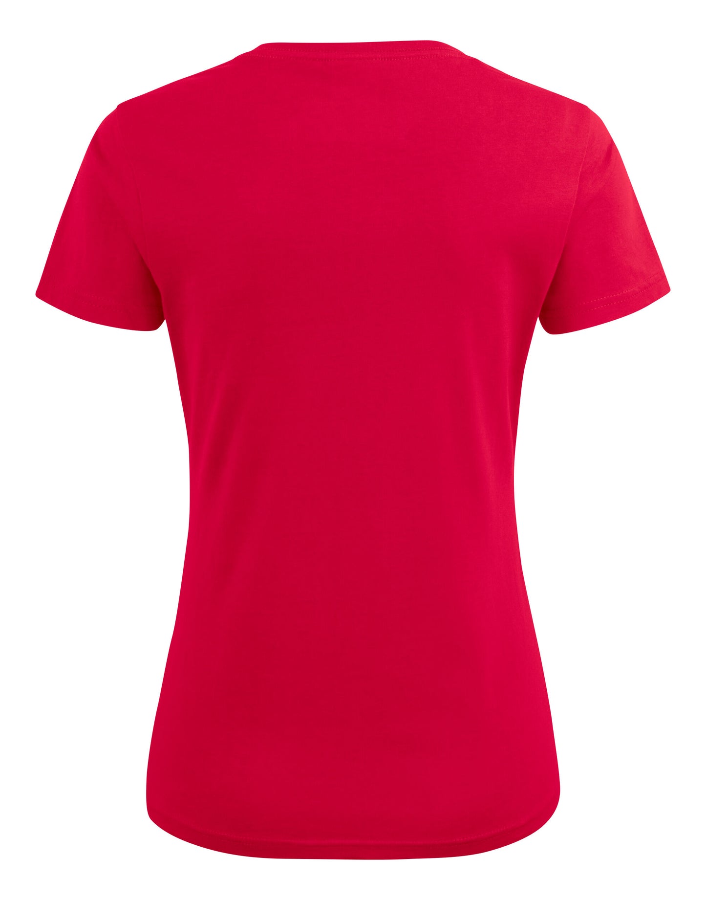 Ladies Heavy V-Neck T-Shirt