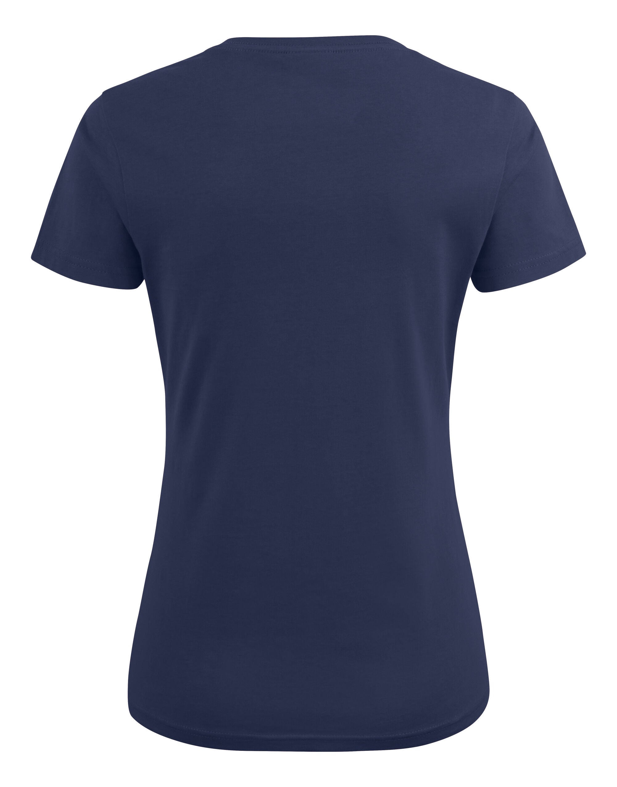Ladies Heavy V-Neck T-Shirt