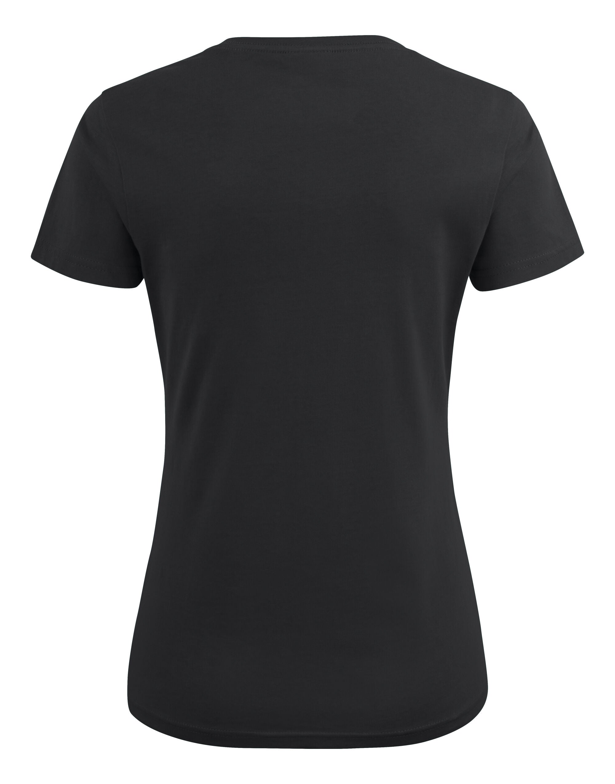 Ladies Heavy V-Neck T-Shirt