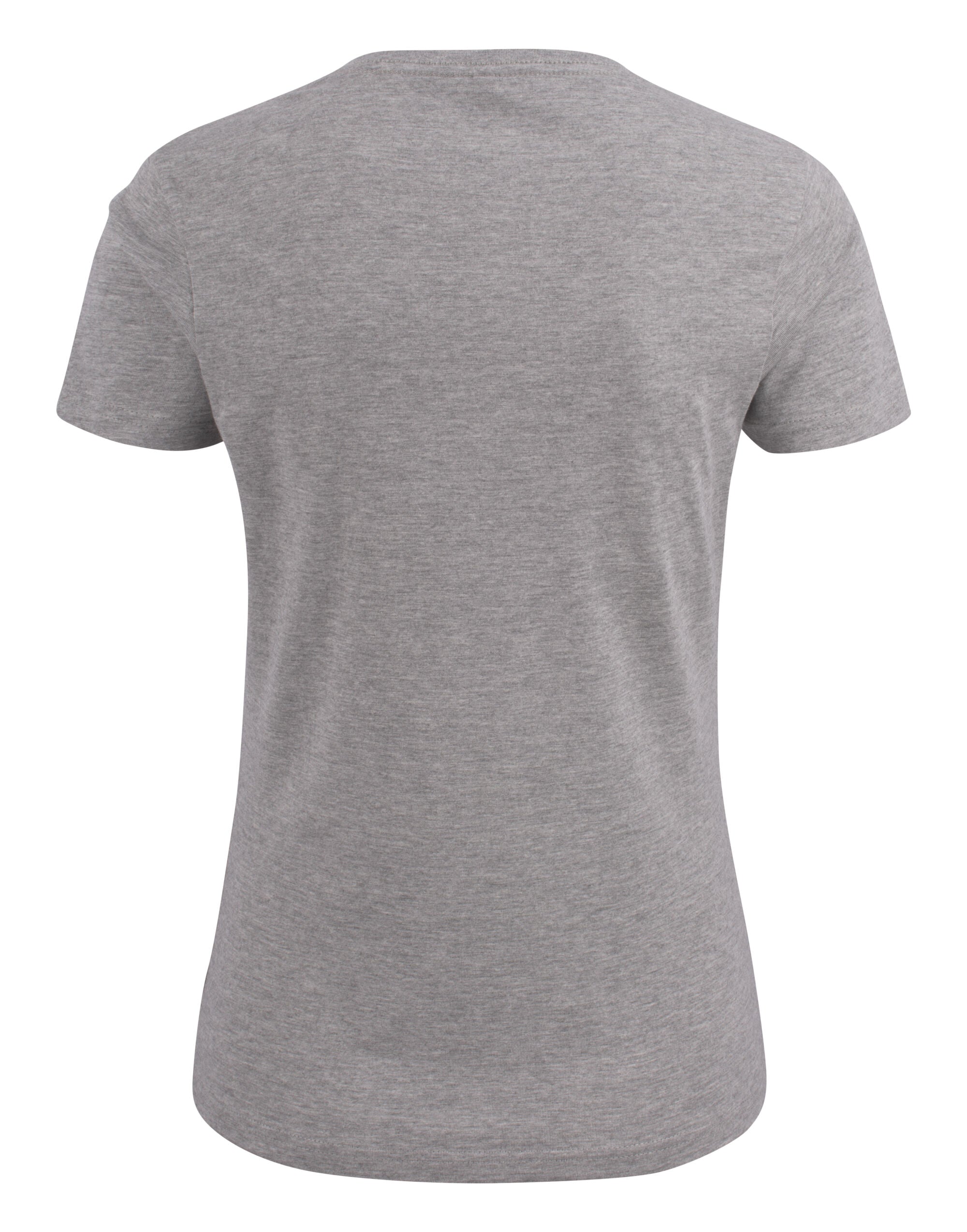 Ladies Heavy V-Neck T-Shirt