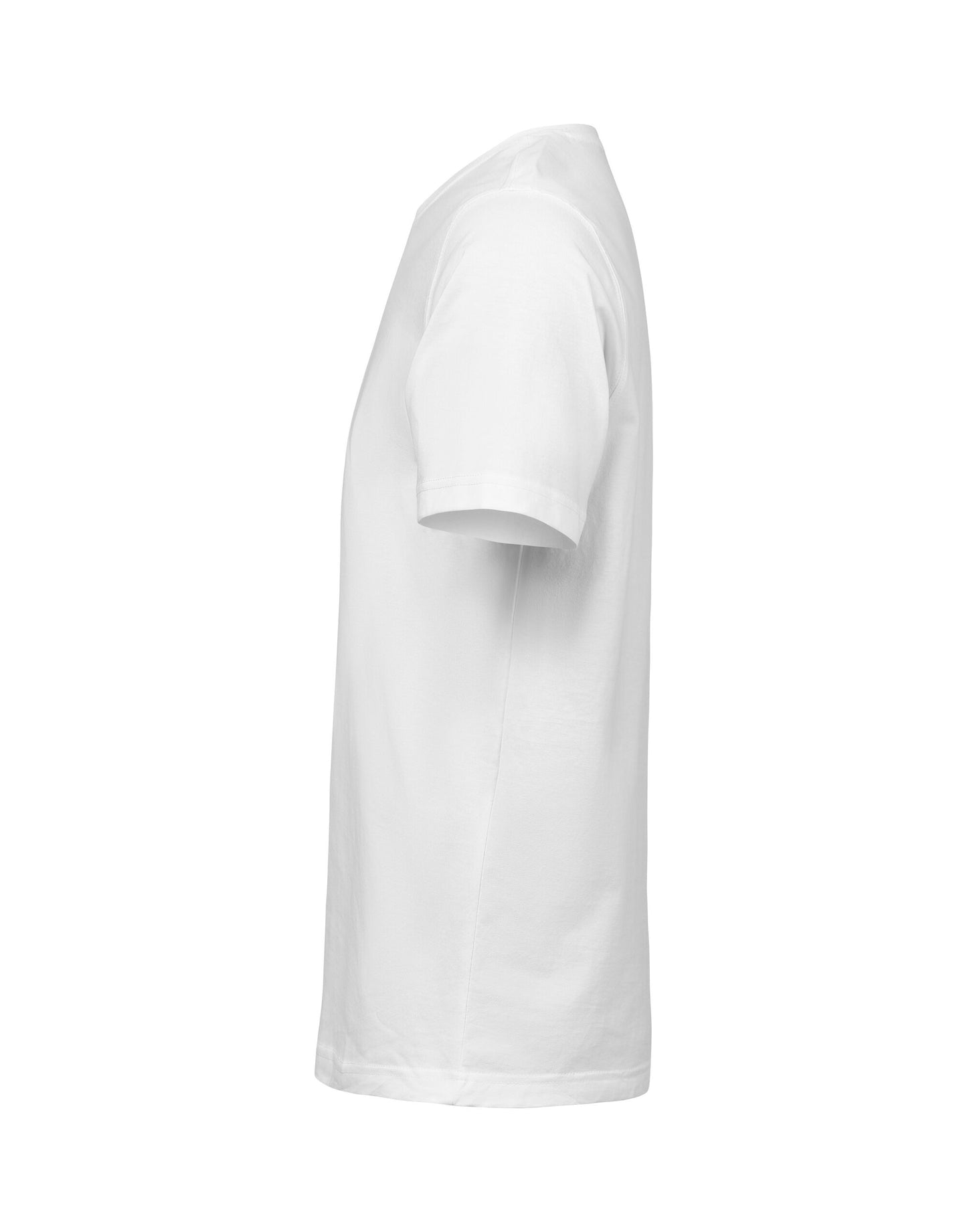 T-Shirt Regular Fit
