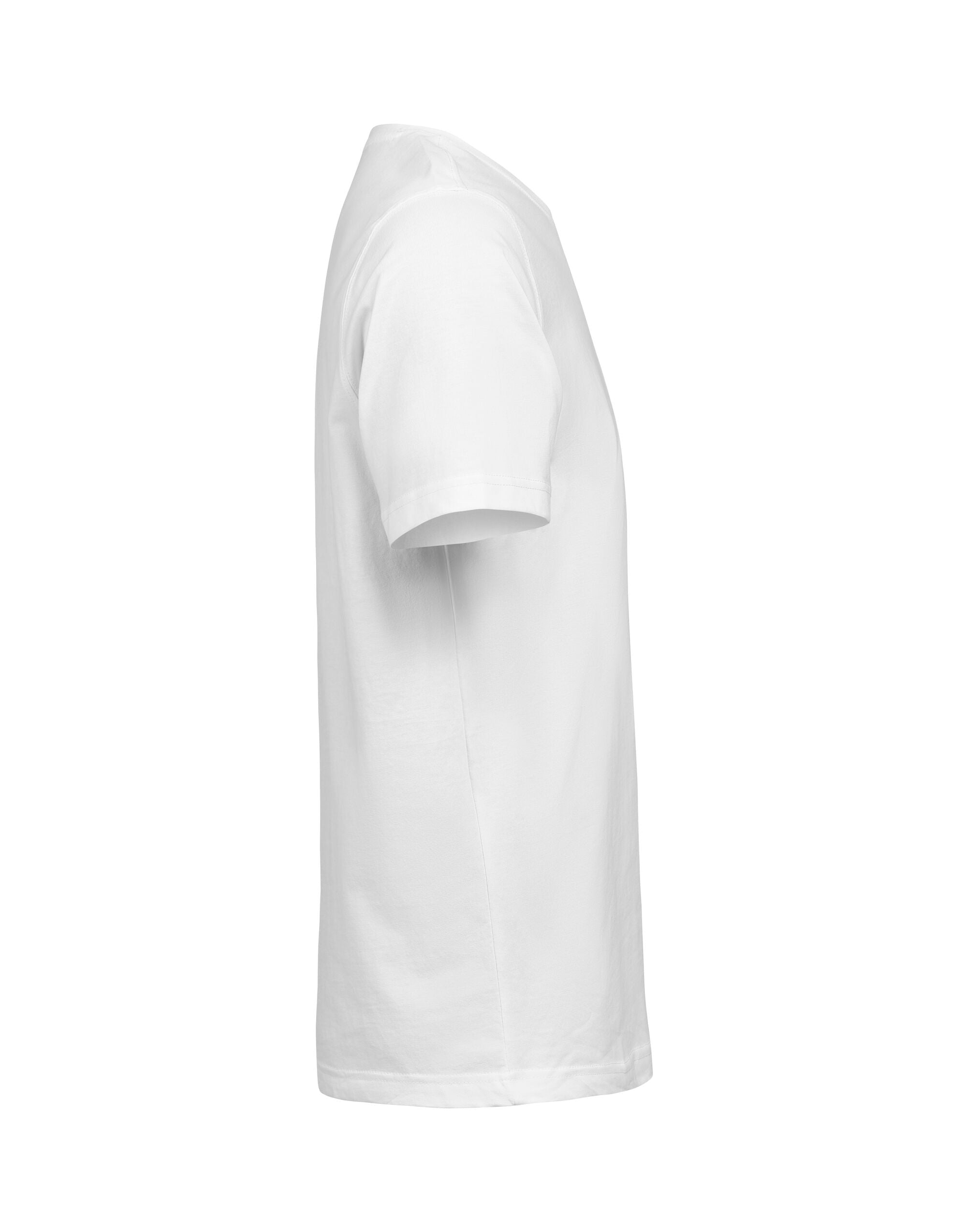 T-Shirt Regular Fit