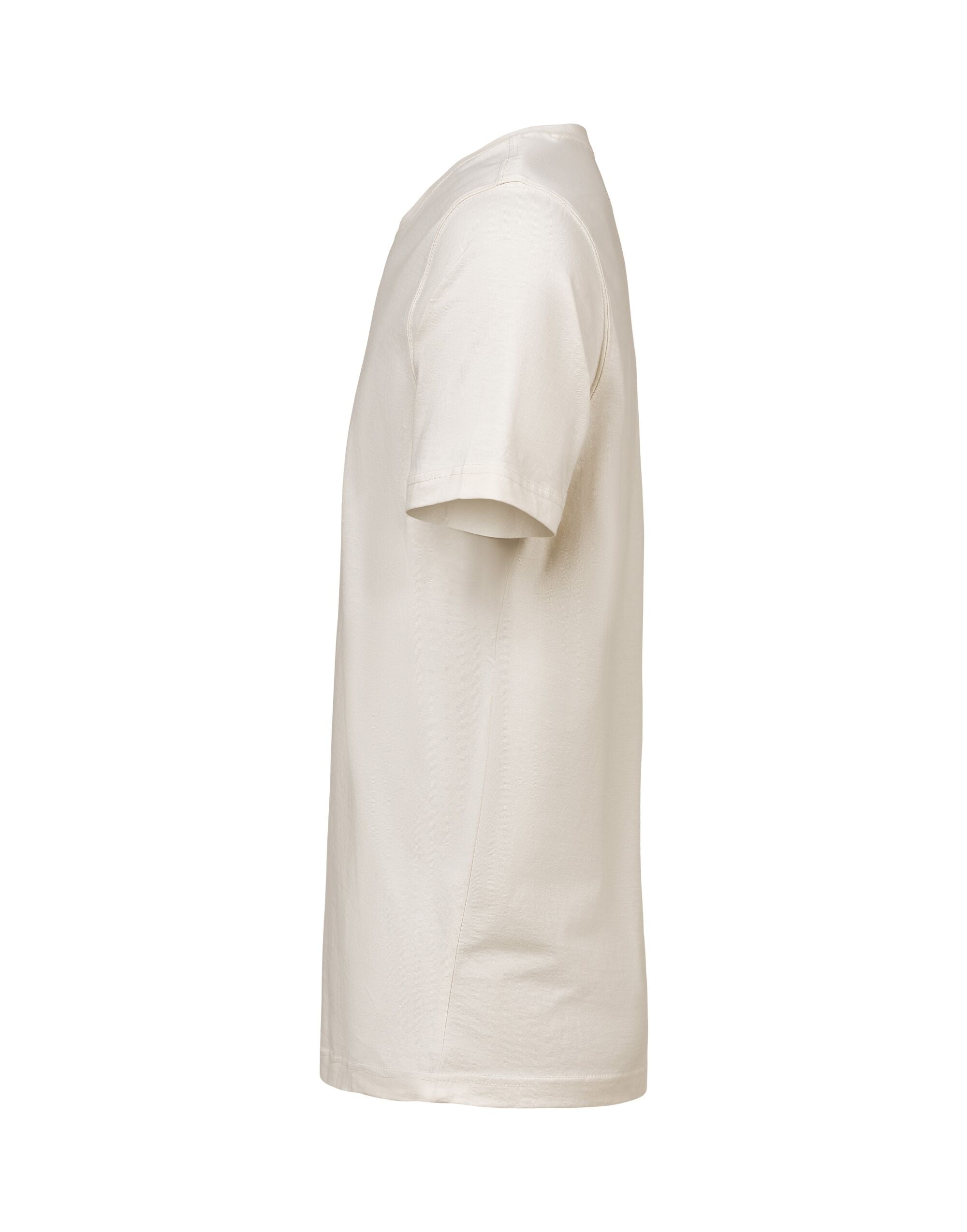 T-Shirt Regular Fit
